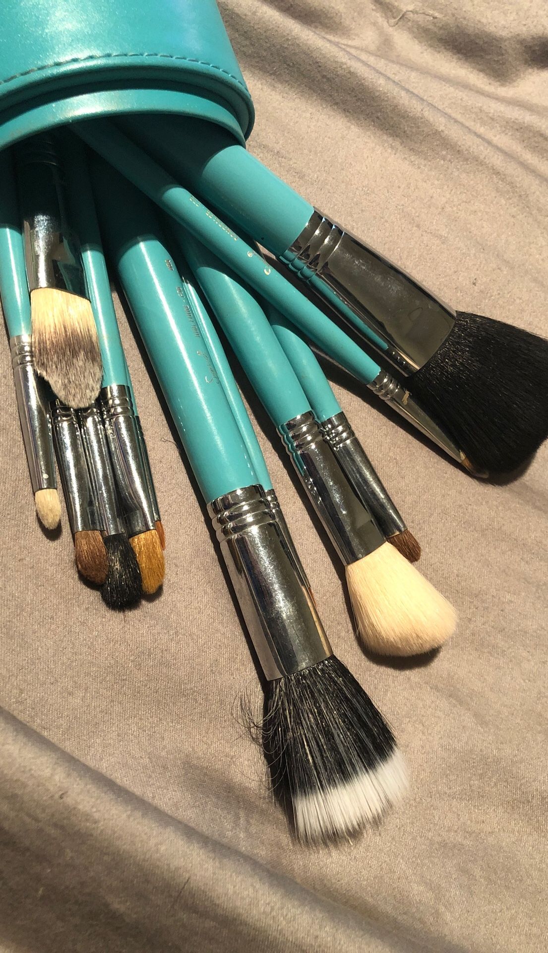 Sigma makeup brushes - used & cleaned