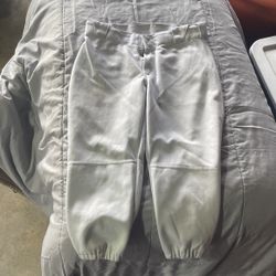 Softball Pants