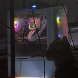 Skytech Gaming Pc For Sale