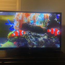 LG 50” TV