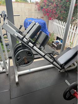 Hack squat & leg press