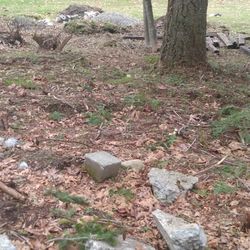 Rocks Dirt Concrete Mulch