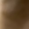 mark