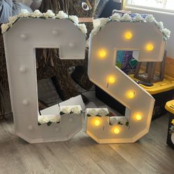 Light Up Letters C & S 