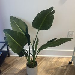 Artificial Bird of Paradise Plant With Cement Planter 