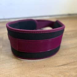 Weightlifting Belt