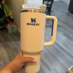 Stanley Tumbler