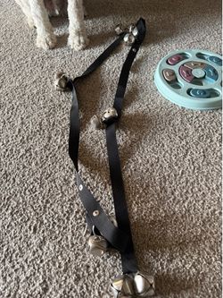 Dog supplies- training bells, grooming brush, potty scooper
