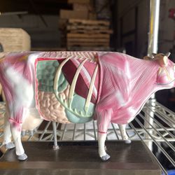 Acupuncture COW Model  10” X 6” 