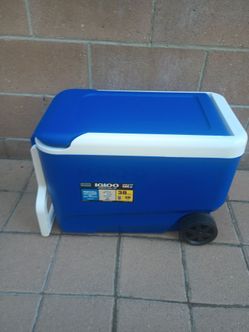 Igloo Cooler