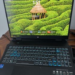 Gaming Laptop Predator Helios Neo 16 4060