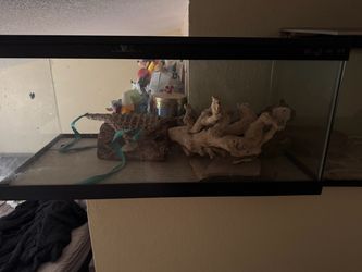 Reptile tank