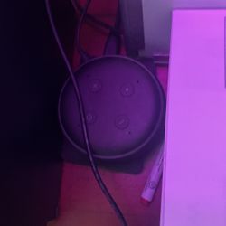 Amazon Echo