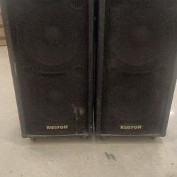 15 In Dj  Speakers 