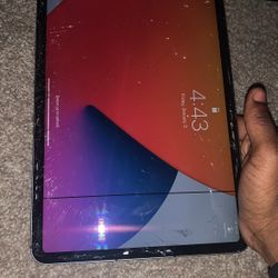 iPad Pro