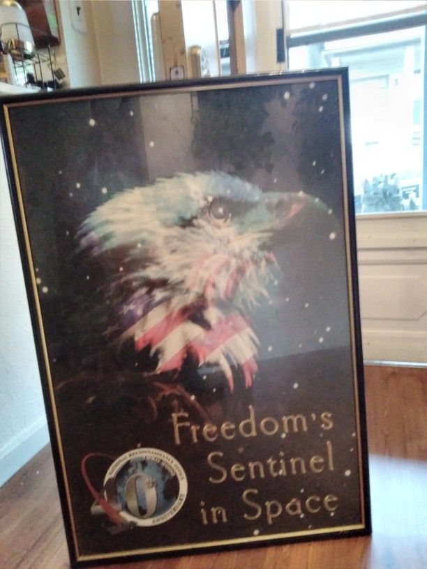 Real Nice Patriotic Picture