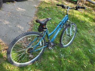 DBX Mountain Bike Teal Blue