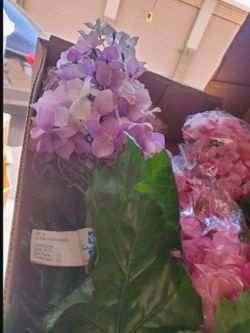 Bulk Flowers NEW