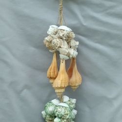 Beach Sea Shell Hanging Hanging Wind Chimes 24" Inch