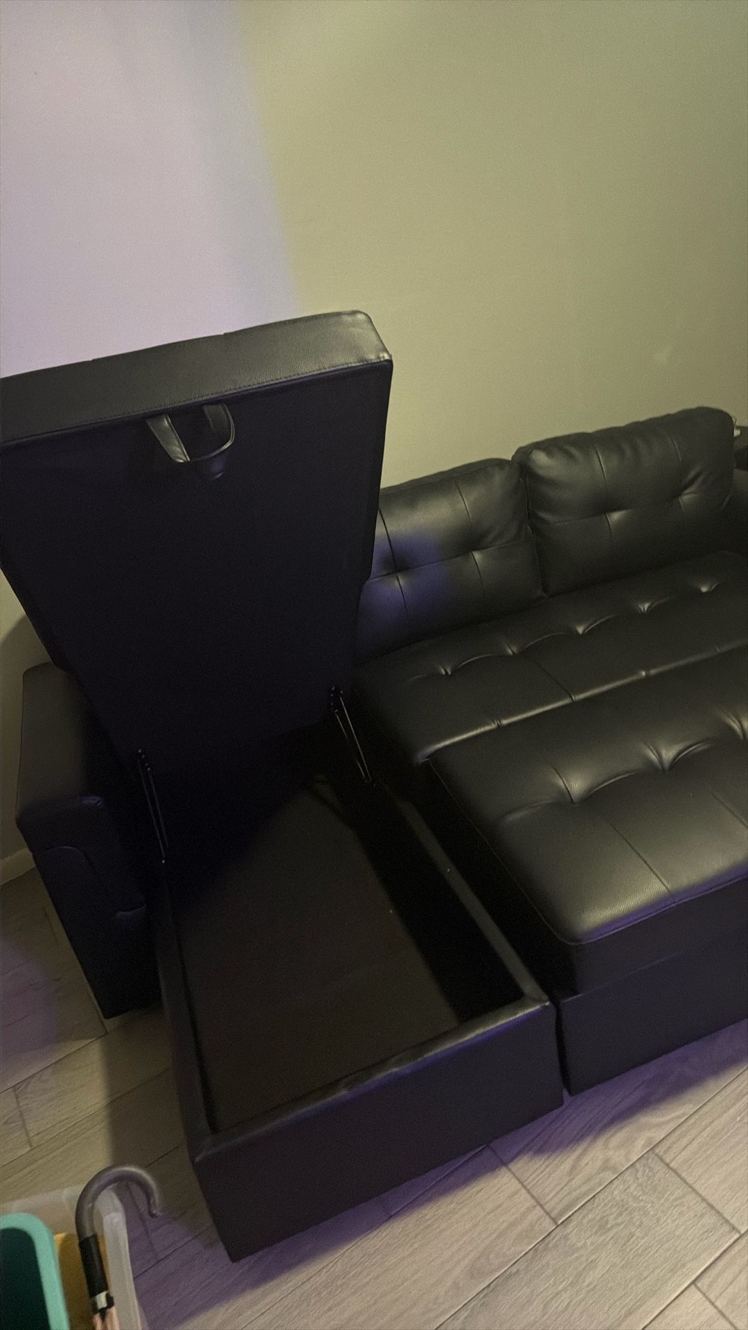 Pull Out Storage Couch