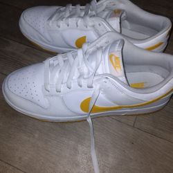 Nike Men's Dunklow Retro DV0831110 White University Gold Shoes