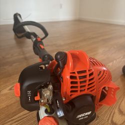 Echo 225