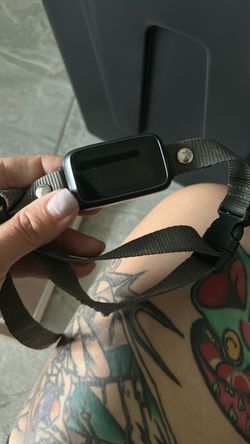 Dog bark collar