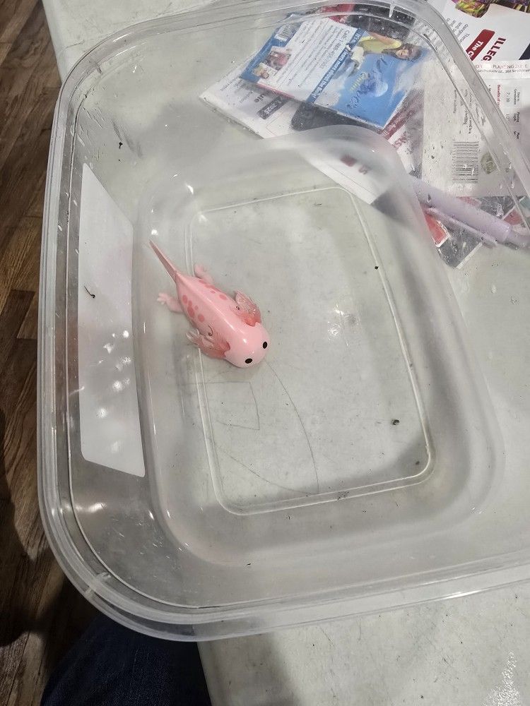 Axolotl Toy