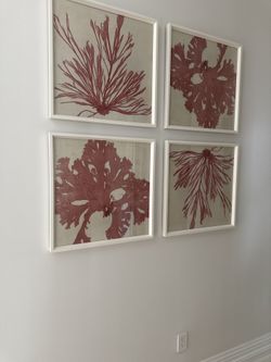 Red Colored Coral Frames From Z Gallerie