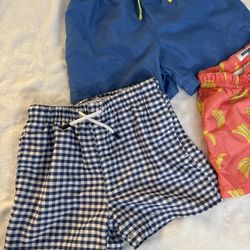 Toddler Boy Swim Trunks 4t