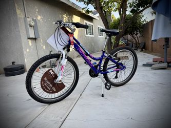 Schwinn Ranger 24" Mountain Bike - Purple