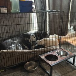 XXL Dog Crate 