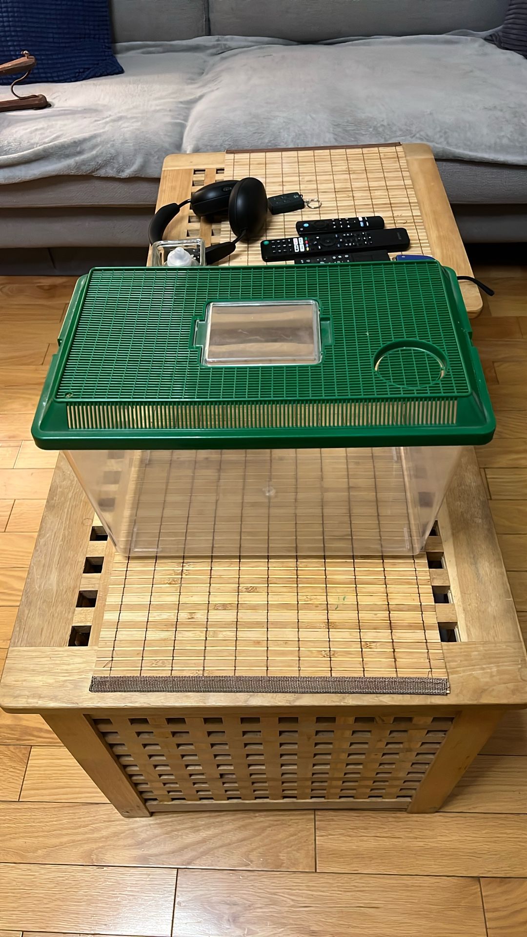 Plastic Terrarium Large