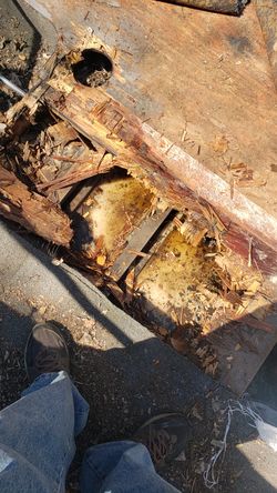 Plastic Gas Tank for Boat