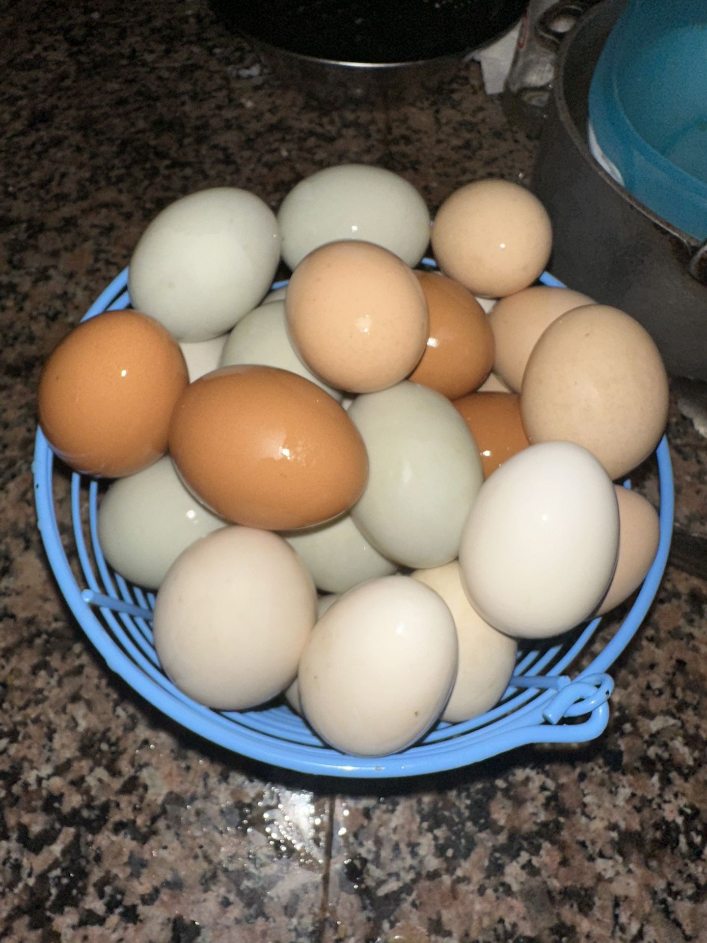 Fresh Organic Farm Eggs 