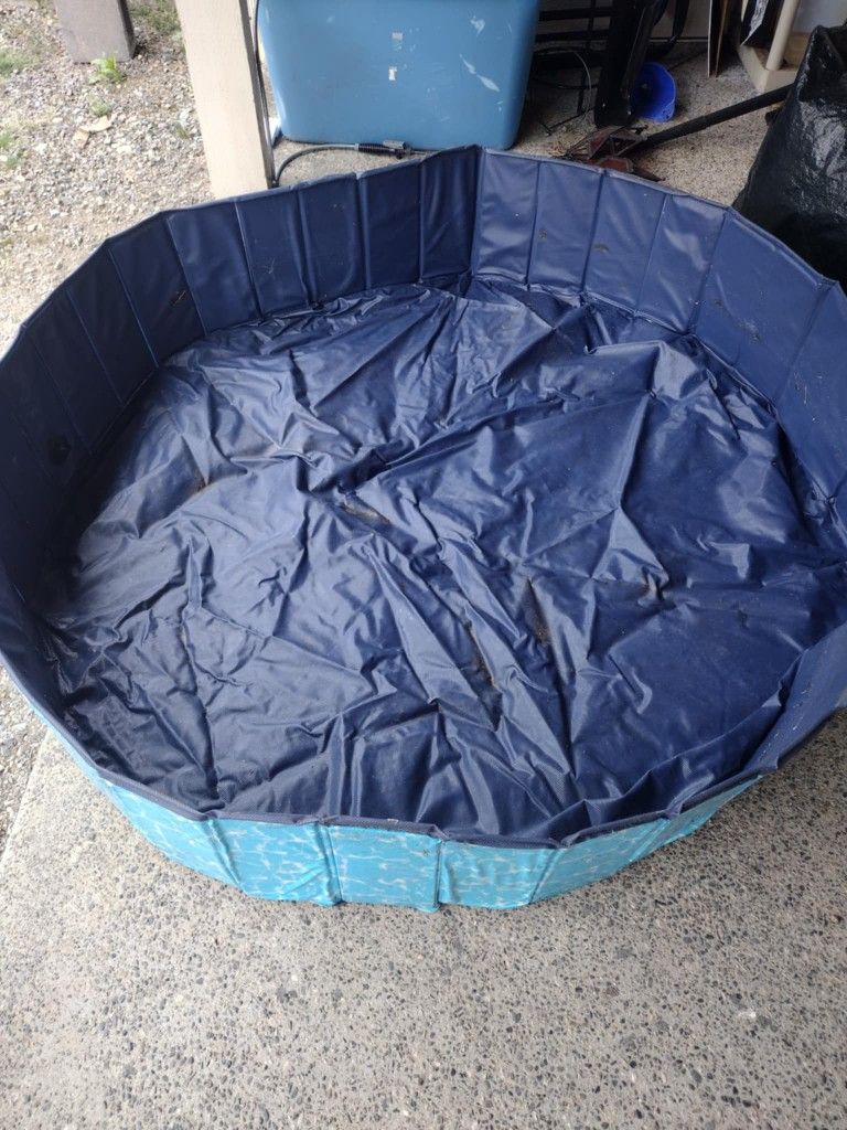 Dog/Puppy Pool