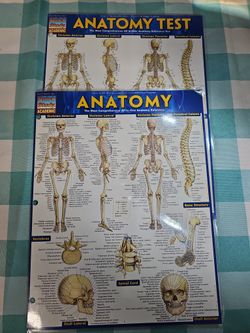 Anatomy Study Card & Test Charts