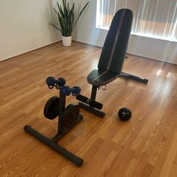 exercise bench and weight stand