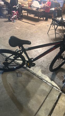 Adult Bike