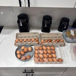 Eggs For Sale