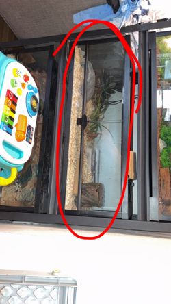 Reptile Tank