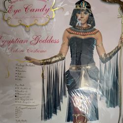 Egyptian Goddess Costume 