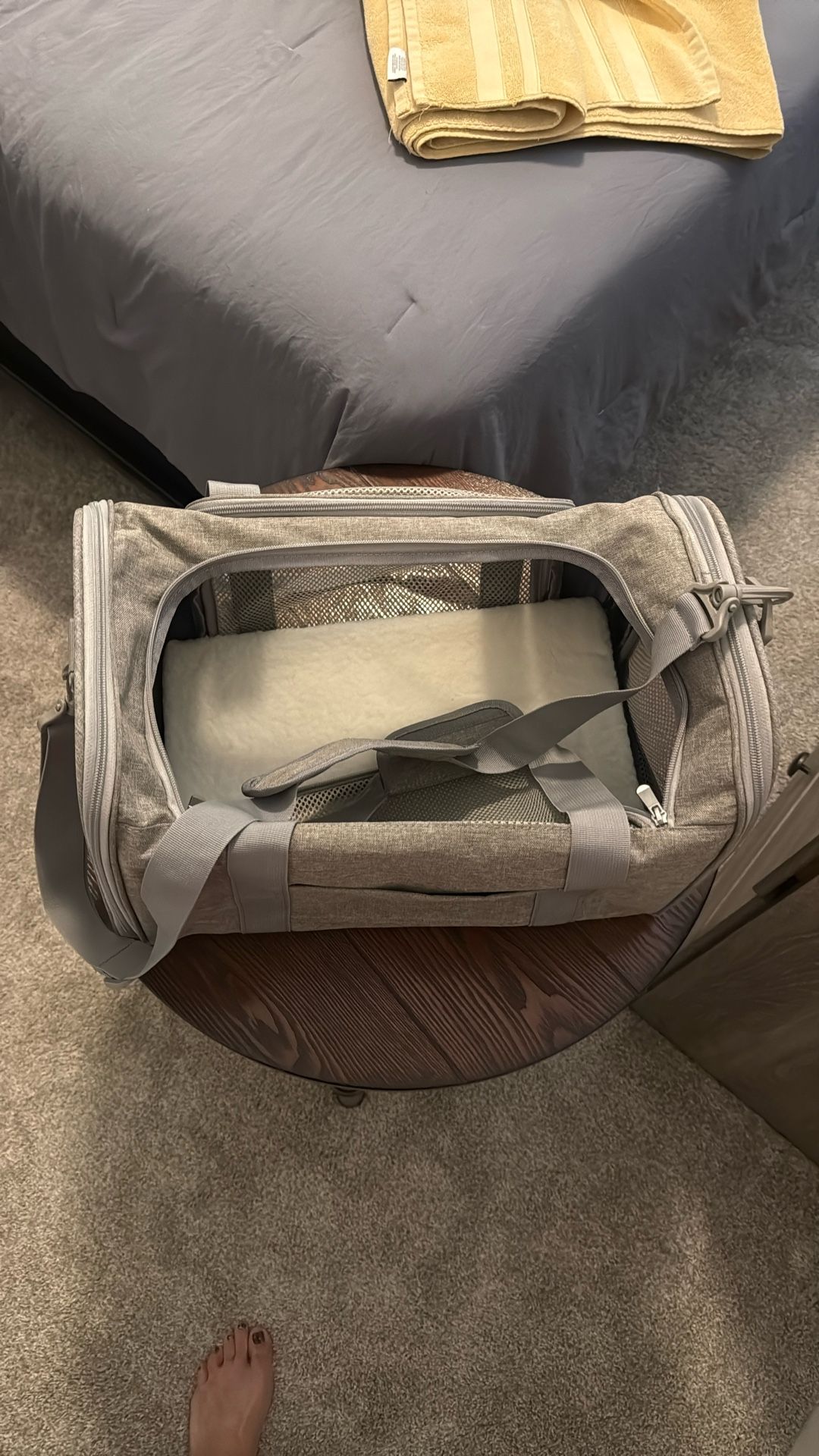 Small Dog/cat Carrier