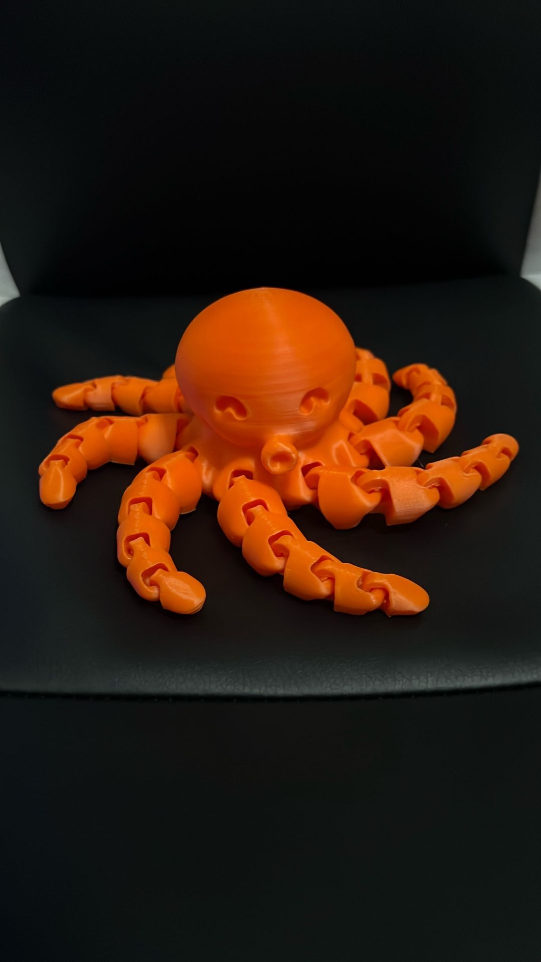 silly 3d printed octopus