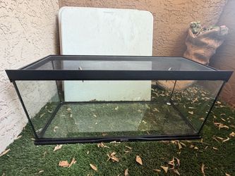 Reptile Tank