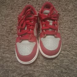 Nike Dunks Kids