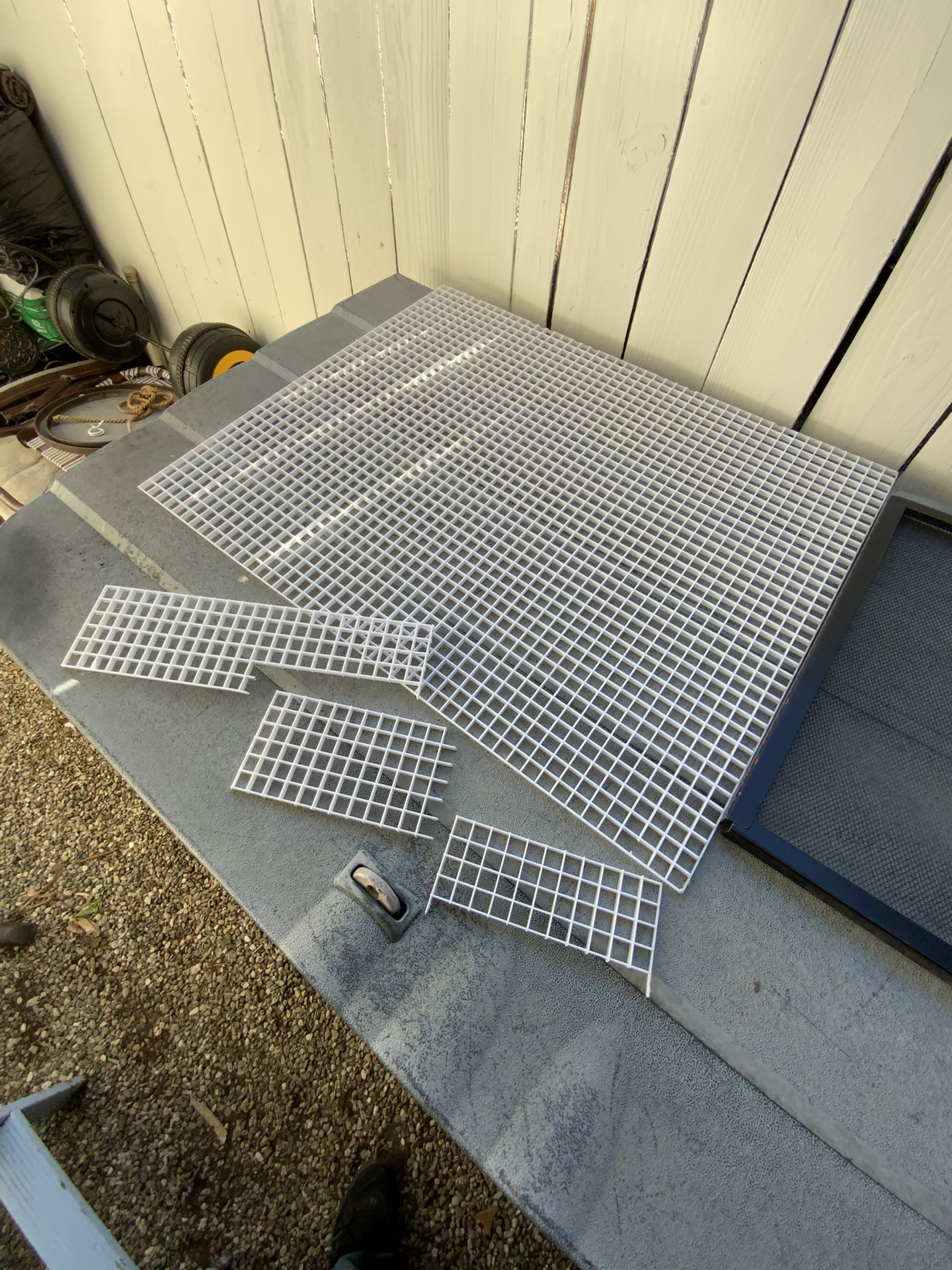 Aquatic Water Turtle Red Eared Slider