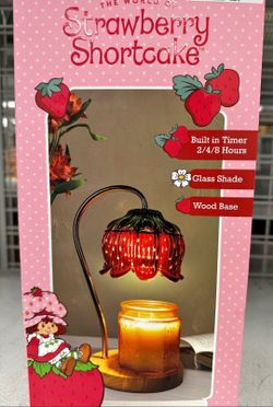 Strawberry shortcake candle warmer