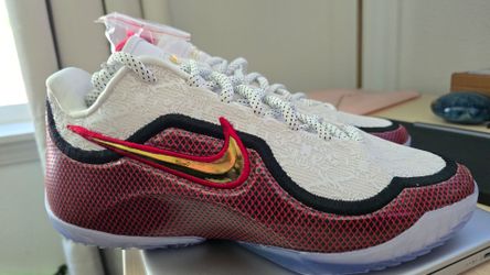 Nike LeBron 23 size 9.5 basketball shoes