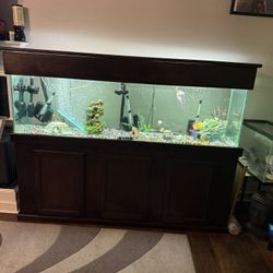 125 Gallon Fish Tank With Stand And Canopy And Lights Everything Inside The Tank Comes With It Not Including The Filter $400